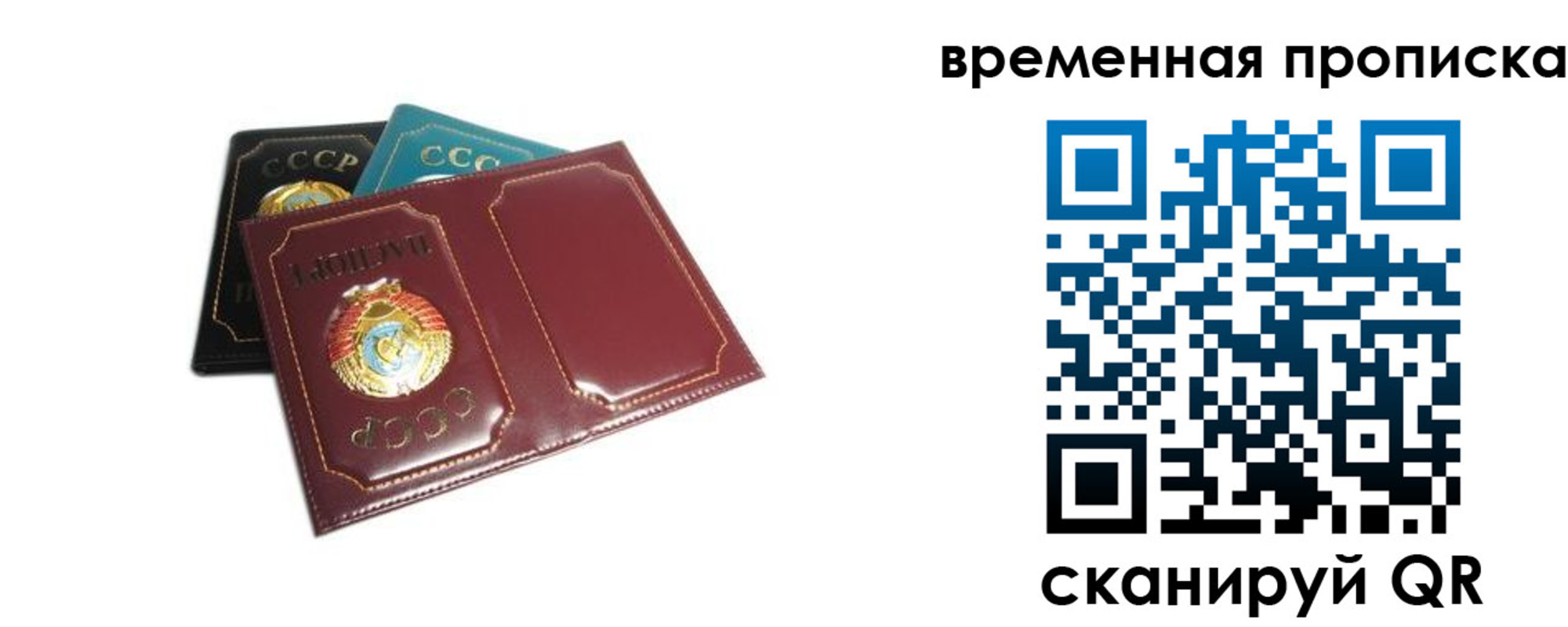 прописка 2025 в Звенигороде